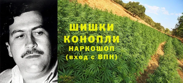 apvp Нея
