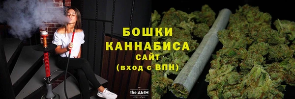 2c-b Новозыбков