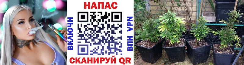 Шишки марихуана OG Kush  Липки 